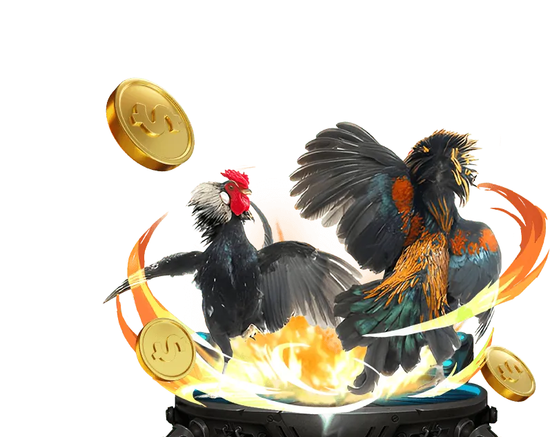 Công bằng trong trò chơi tại bl55 casino với RNG được kiểm định